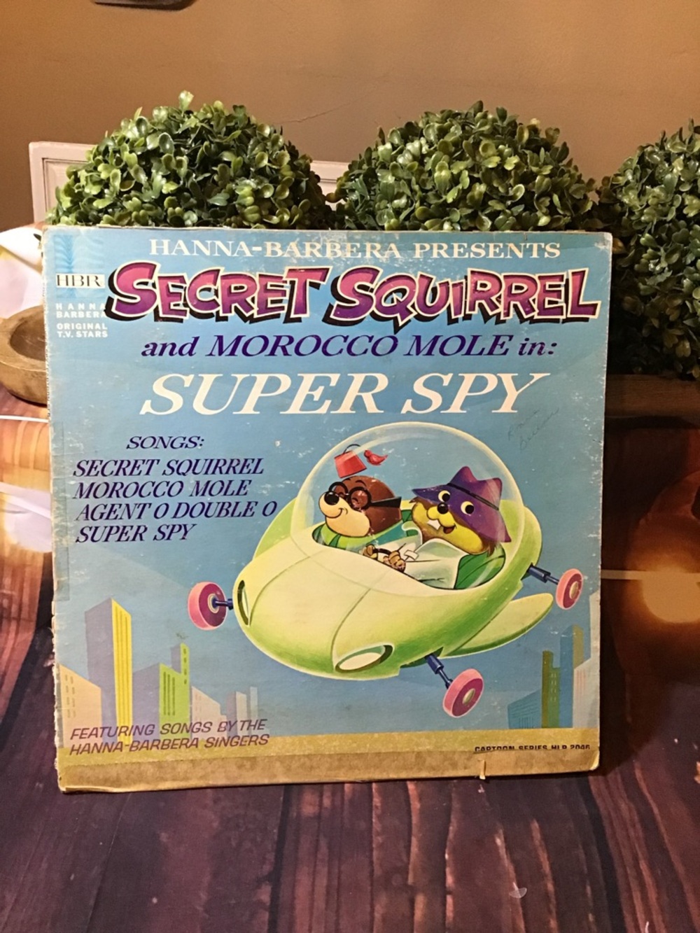 Vintage squirrel and Morocco mole in super spy LP record